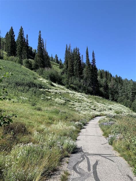Trail Magic: Immersing Yourself in Utah's Enchanting Nature